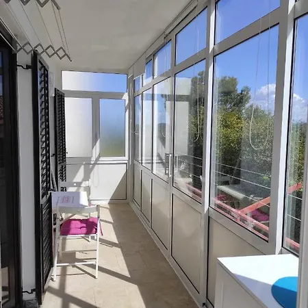 Intrade Trsine Pet Friendly *