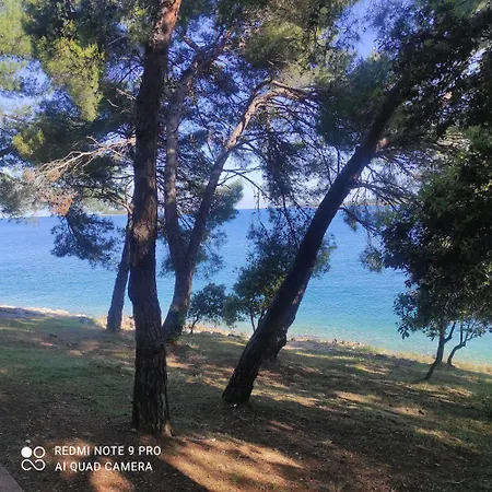 Apartment Intrade Trsine Pet Friendly