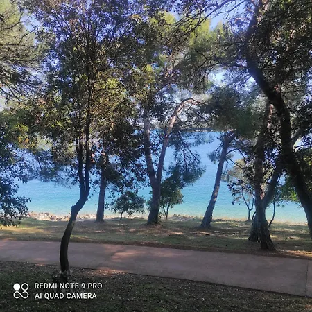 Apartment Intrade Trsine Pet Friendly *